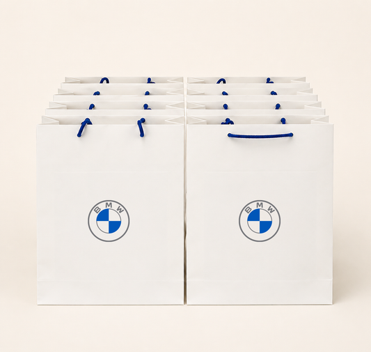 Premium Gift Bag with Rope Handles